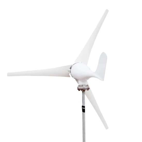 도매 가정용 흰색 100W 200W 300W 풍력 터빈 풍력 발전기 해양 풍력 발전기